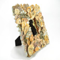 Baby Abalone And Red Oyster Sea Shell Mirror